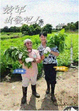 新西游记韩国综艺在线观看