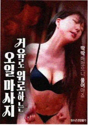 流浪者动作惊悚韩国电影